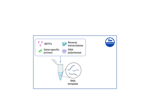 [IDSARSCOV-​UKSA-​100] RT PCR Test Kits  SARS-CoV-2